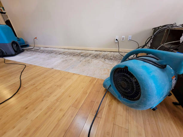 Professional Water Damage Repair technician working in Sanford, ME